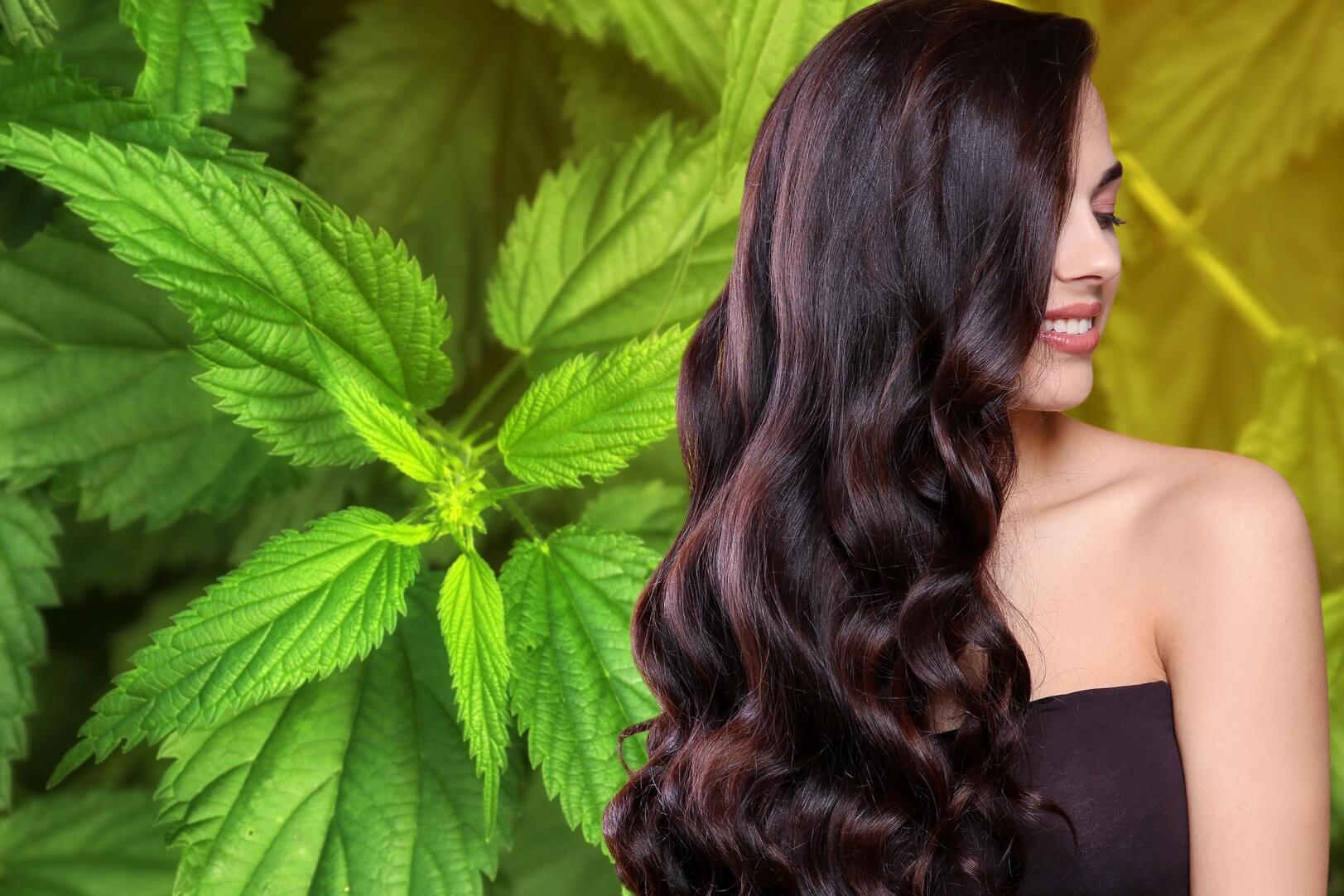 Herbal Hair Care Products: The Best of What Rosa Offers